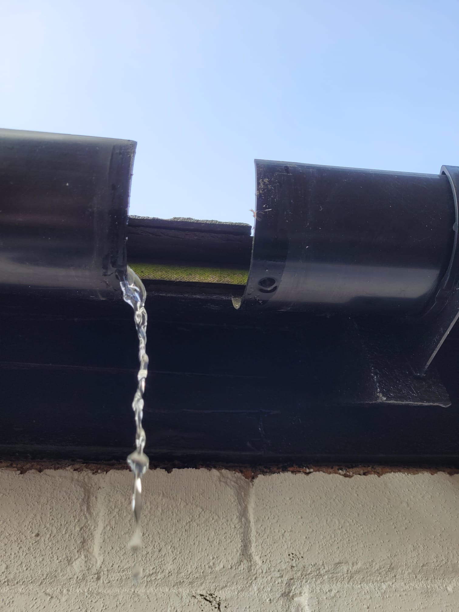 Moss and leaves blocking a gutter on a property in Leicestershire